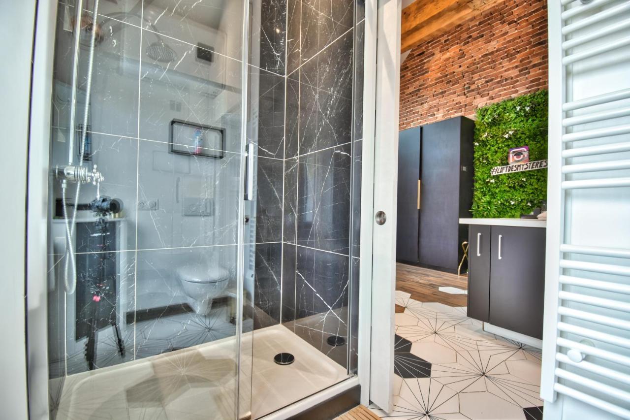 * Le Loft Des Mysteres * Apartman Maintenon Kültér fotó