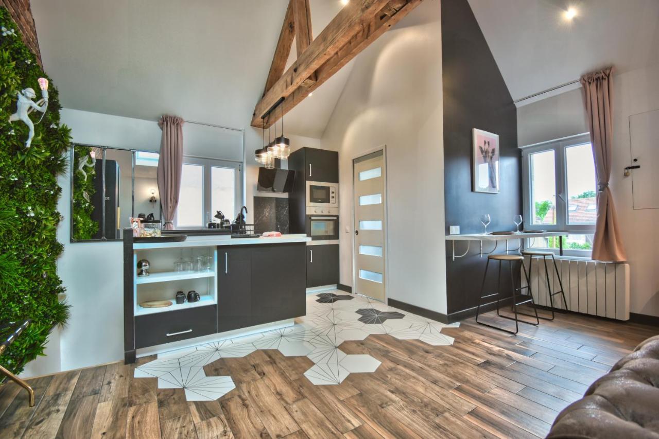 * Le Loft Des Mysteres * Apartman Maintenon Kültér fotó