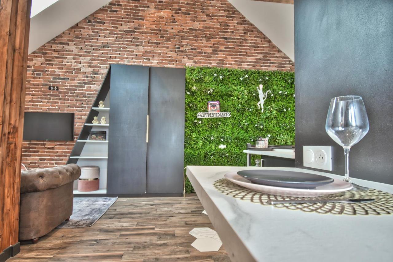 * Le Loft Des Mysteres * Apartman Maintenon Kültér fotó