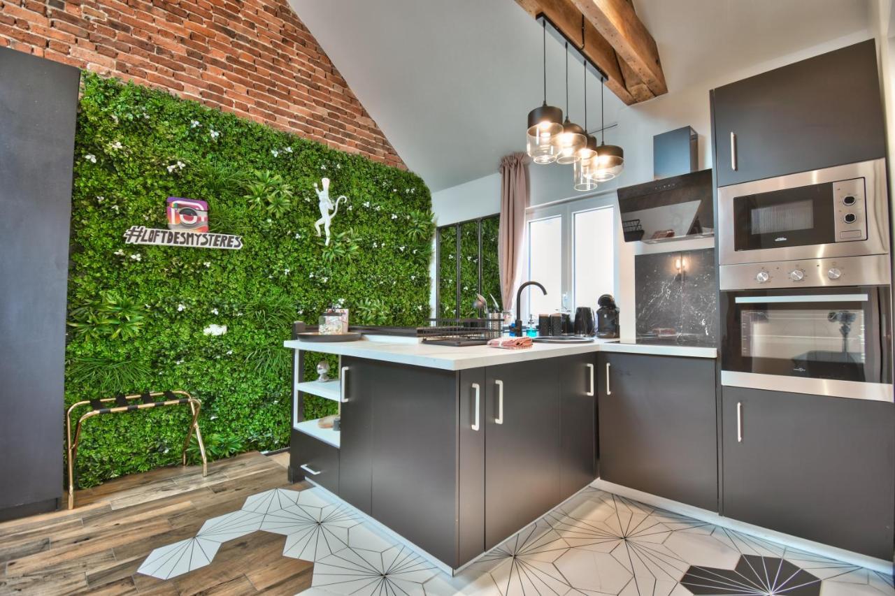 * Le Loft Des Mysteres * Apartman Maintenon Kültér fotó